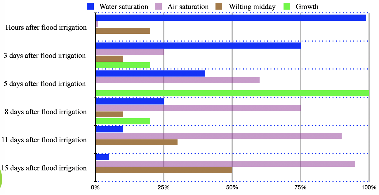 Bar chart: PQNK's field observation of a flood-irrigated field, showing water saturation, air saturation, midday wilting and growth over the days after flooding, each as a share from 0 to 100 percent. Hours after flooding: water saturation near 100 percent, almost no air, midday wilting about 20 percent, no growth. Three days after: water about 75 percent, air about 25, wilting about 10, growth about 20. Five days after: water about 40 percent, air about 60, no wilting, growth at its peak, 100 percent. Eight days after: water about 25 percent, air about 75, wilting about 10, growth about 20. Eleven days after: water about 10 percent, air about 90, wilting about 30, no growth. Fifteen days after: water about 5 percent, air about 95, wilting about 50, no growth.