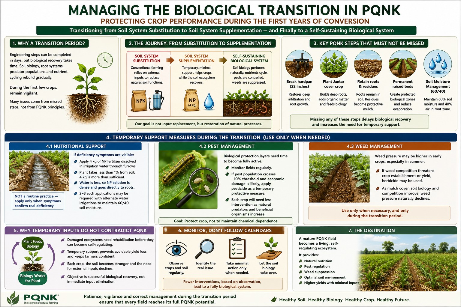 Infographic, Managing the Biological Transition in PQNK: protecting crop performance during the first years of conversion, moving from soil system substitution to supplementation and finally to a self-sustaining biological system. 1, why a transition period: engineering steps can be completed in days, but biological recovery takes time; during the first few crops, remain vigilant; many issues come from missed steps, not from PQNK principles. 2, the journey: conventional farming relies on external inputs; temporary, minimal support, such as 4 kg of NP, helps crops while the soil ecosystem recovers; then soil biology cycles nutrients, controls pests and suppresses weeds. The goal is restoration of natural processes, not input replacement. 3, key PQNK steps that must not be missed: break the hardpan, 22 inches; plant a Jantar cover crop; retain roots and residues; permanent raised beds; soil moisture management, 60 percent moisture and 40 percent air in the root zone. 4, temporary support measures, used only when needed: nutritional support, 4 kg of NP dissolved in irrigation water through the furrows if deficiency symptoms are visible, two to three such applications with alternate water irrigations, not a routine practice; pest management, monitor fields and apply pesticide as a temporary protective measure only if pests cross about a 10 percent economic threshold; weed management, herbicide may be used only if weeds threaten establishment or yield, as weed pressure declines with mulch and soil biology. 5, why temporary inputs do not contradict PQNK: damaged ecosystems need rehabilitation before they become self-regulating, and each crop the soil becomes stronger. 6, monitor, don't follow calendars: observe crops and soil, identify the real issue, take minimal action only when needed, and let the soil biology take over. 7, the destination: a mature PQNK field is a living, self-regulating ecosystem providing natural nutrition, pest regulation, weed suppression, an optimal soil environment and higher yields with minimal inputs.
