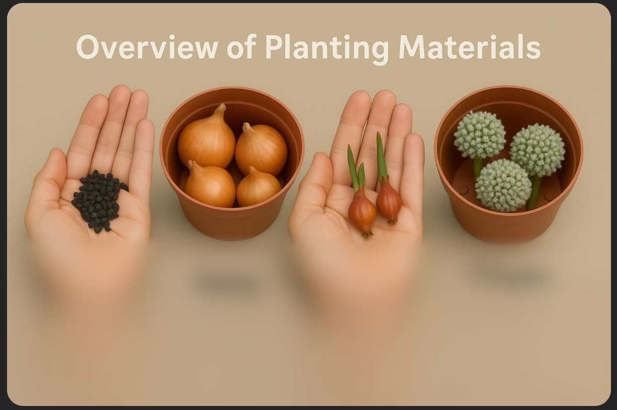 Picture titled Overview of Planting Materials: hands holding onion seeds, a bowl of small bulbs, and offsets.