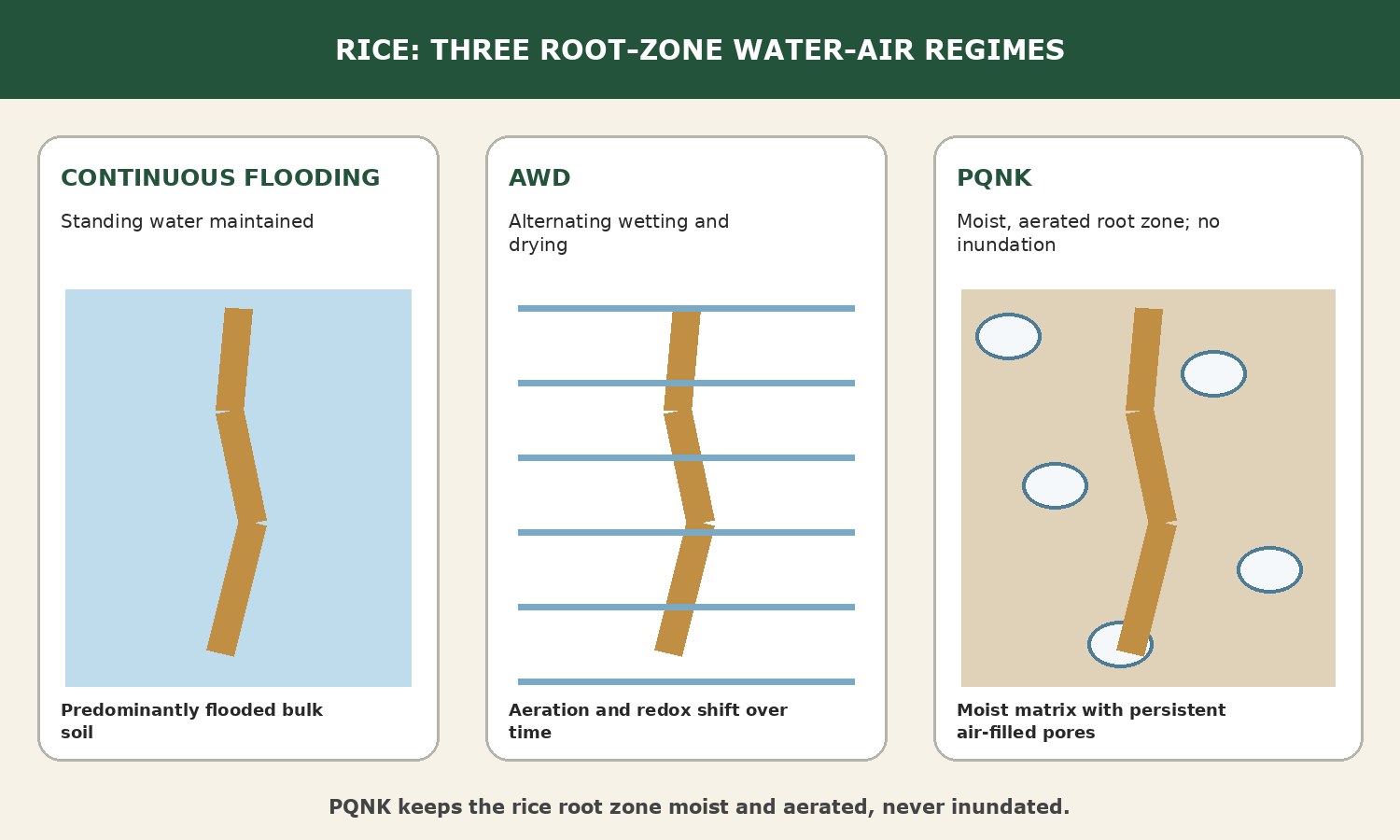Diagram of three root-zone water and air regimes for rice: continuous flooding, with standing water and a predominantly flooded soil; alternate wetting and drying, with aeration and redox conditions shifting over time; and PQNK, a moist, aerated root zone with no inundation, where the soil matrix stays moist while its pores keep holding air.