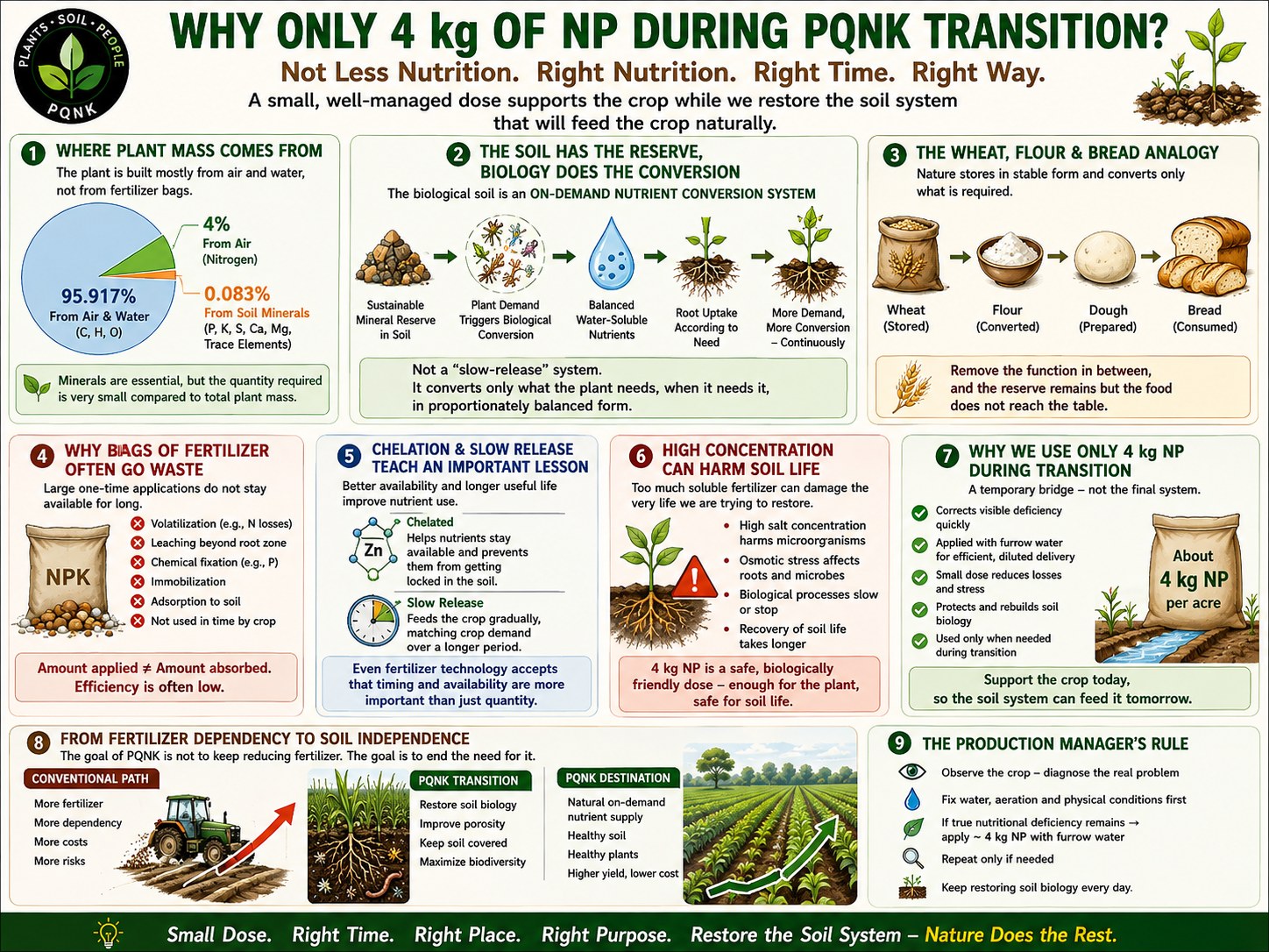 Infographic titled Why Only 4 kg of NP During PQNK Transition? Not less nutrition, but the right nutrition at the right time in the right way: a small, well-managed dose supports the crop while the soil system that will feed it naturally is restored. The plant is built mostly from air and water: about 95.917 percent carbon, hydrogen and oxygen, about 4 percent nitrogen from the air, and about 0.083 percent from soil minerals. The soil holds the mineral reserve, and living biology converts it on demand into balanced, water-soluble nutrients that roots take up according to need, like wheat stored, milled into flour, made into dough and baked into bread only as it is eaten. Large one-time bags of fertiliser often go to waste through volatilisation, leaching, fixation and immobilisation before the crop can use them.